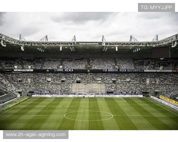 球队年度主场观众平均人数统计揭示人气波动