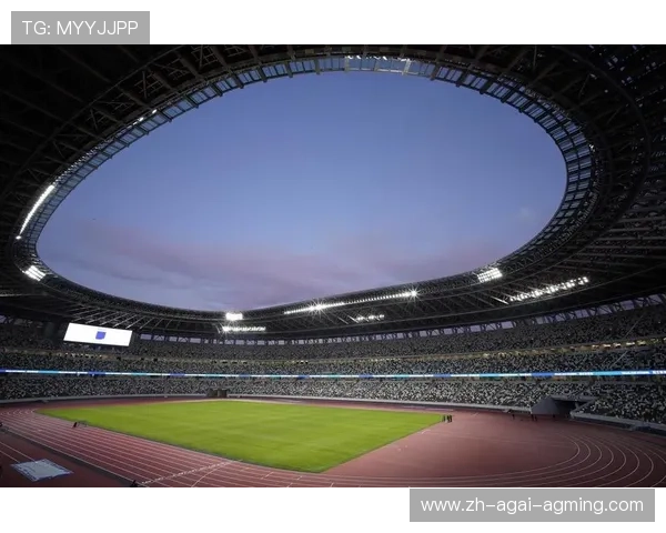 雪地足球竞技场：冰原上的热血攻防战